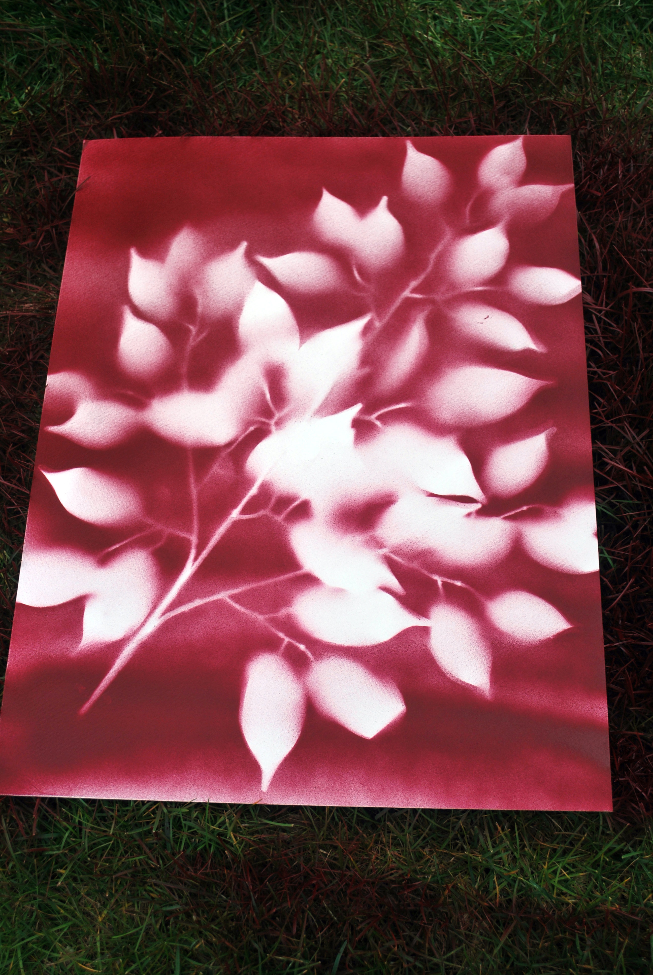 2592x3872 Diy Spray Paint Flower Art Easy And Cheap! - Spray Painting