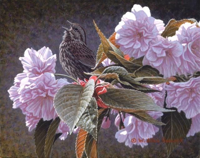 640x506 Spring Song - Spring Song Painting
