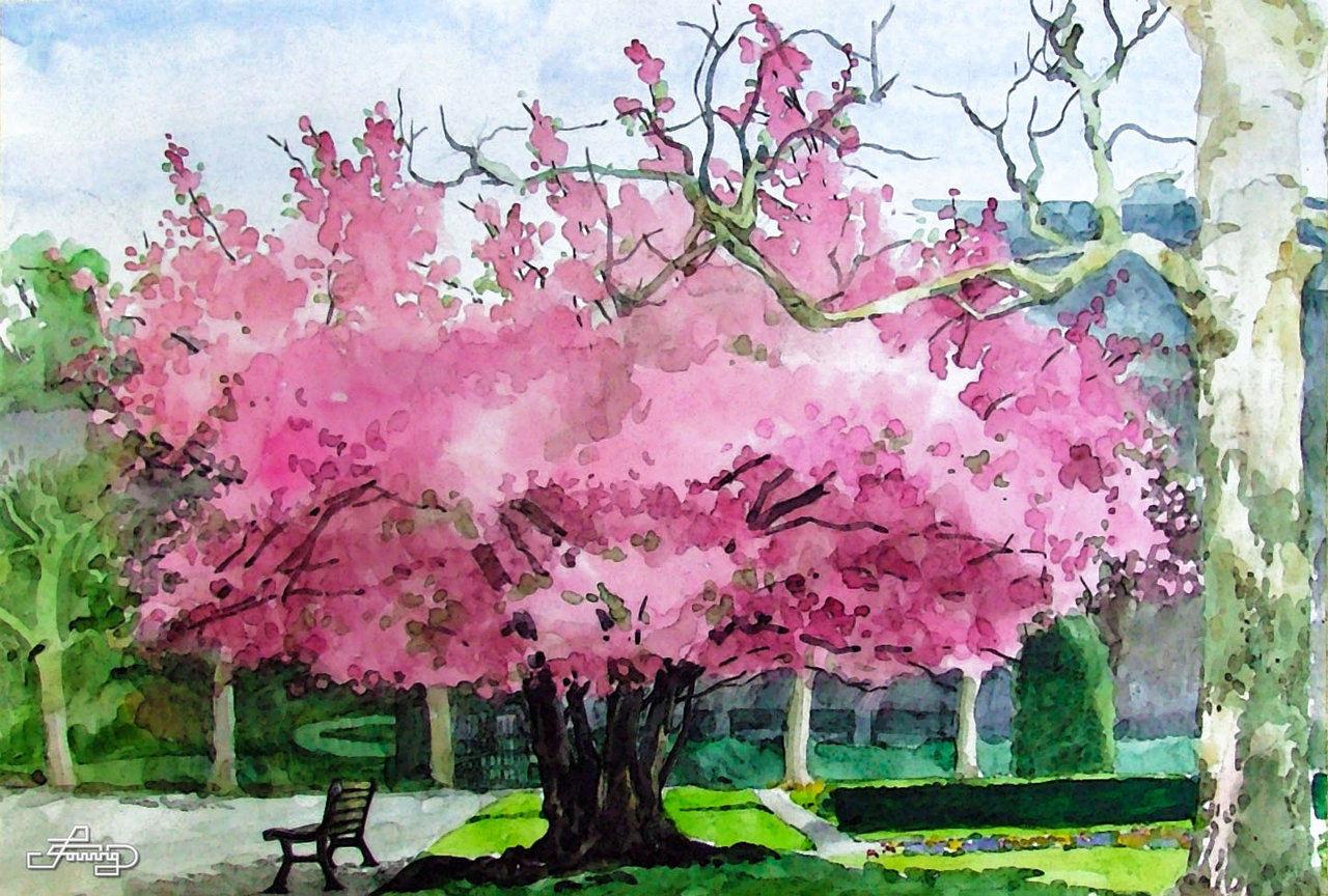 Spring Tree Painting at PaintingValley.com | Explore collection of ...