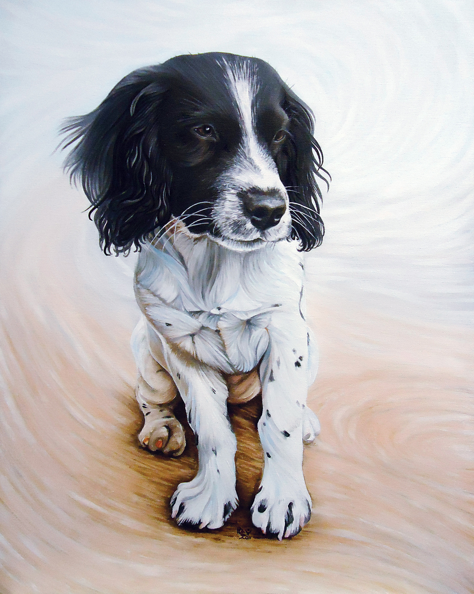 941x1178 Springer Spaniel Daler Rowney - Springer Spaniel Painting