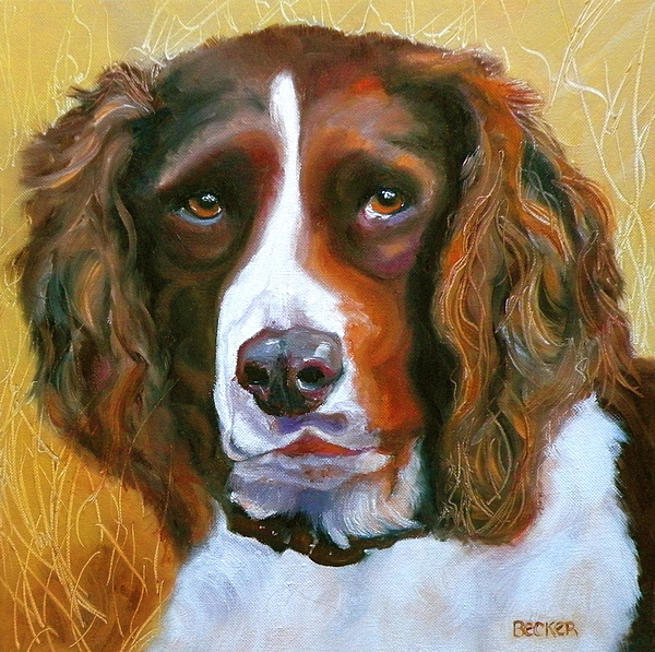 600x597 Springer Spaniel Painting By Susan A Becker - Springer Spaniel Painting