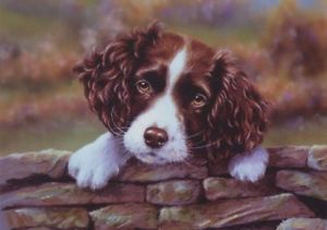 300x211 Springer Spaniel Puppy Dog Pup Art Painting Blank Leaving - Springer Spaniel Painting
