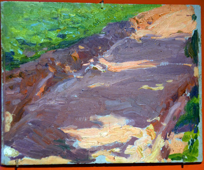 400x334 Susan Lyon Fineart Spain - Sprinkle Painting