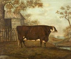236x195 Fine English Naive School Livestock Painting (Sold By Robert Young - Square Cow Painting