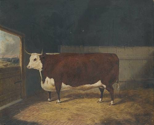 500x407 Uwindwolfone Breaks Down 20th C. Art Farm Animals - Square Cow Painting