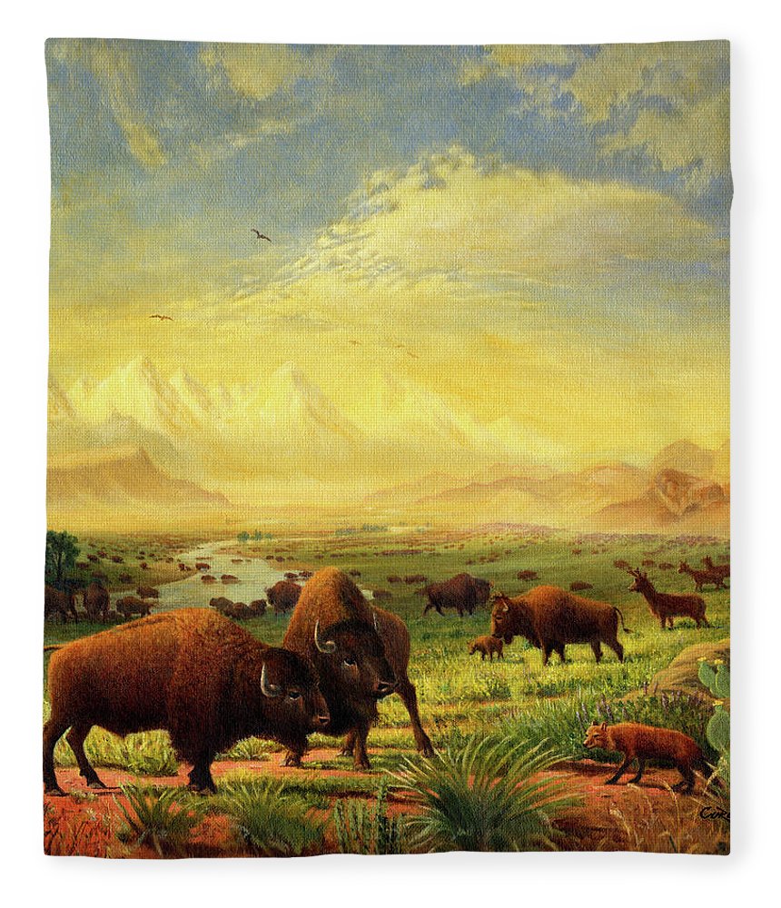 860x1000 Buffalo Fox Great Plains Western Landscape Oil Painting - Square Cow Painting