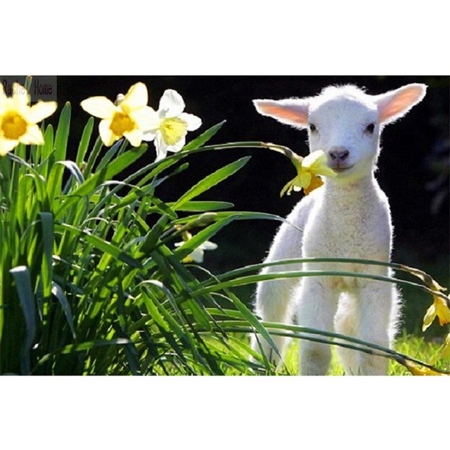 640x640 Diamond Embroidery Diy Diamond Painting Cross Stitch Kits Diamond - Square Sheep Painting