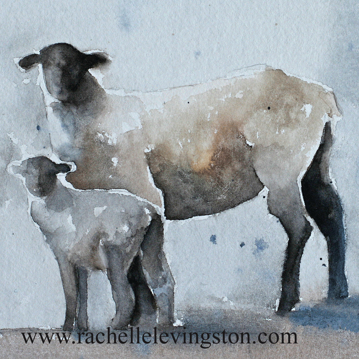 1500x1500 Painting Of Sheep Painting Lamb Painting Watercolour Painting - Square Sheep Painting