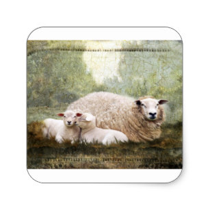 307x307 Custom Sheep Painting Stickers Zazzle.ca - Square Sheep Painting