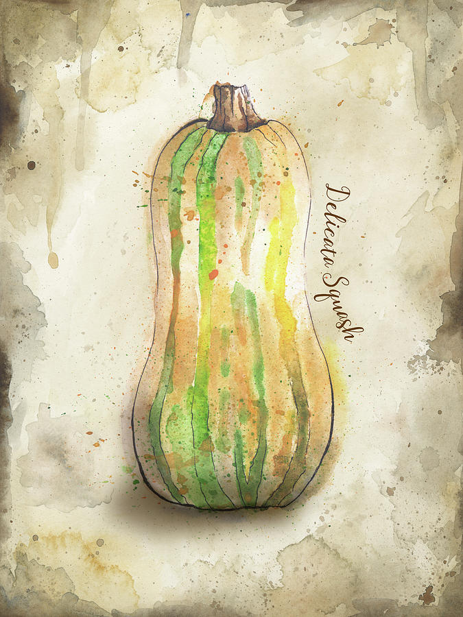 675x900 Delicata Squash Watercolor Painting On Rustic Brown Background - Squash Painting
