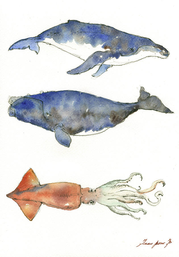 630x900 Humpback Whale, Right Whale And Squid Painting By Juan Bosco - Squid Painting