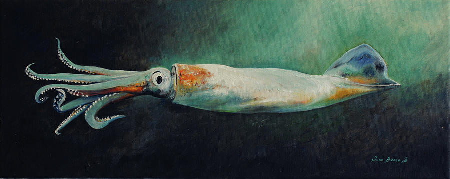 900x358 Squid Painting By Juan Bosco - Squid Painting