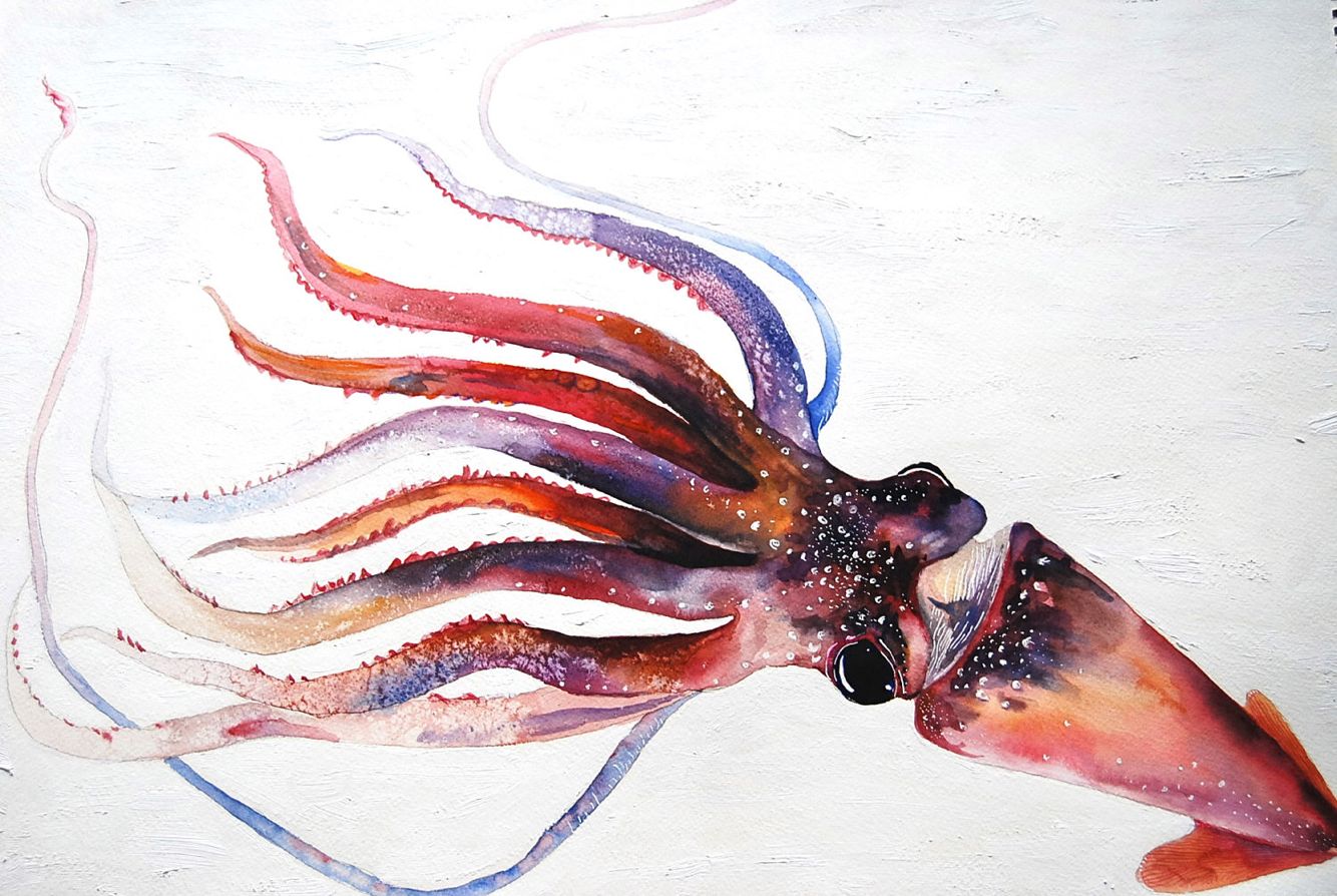 1334x894 Squid Painting Art Kraken, Watercolour Art - Squid Painting
