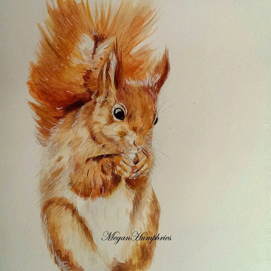 894x894 Red Squirrel Painting By Stardust12345 - Squirrel Painting