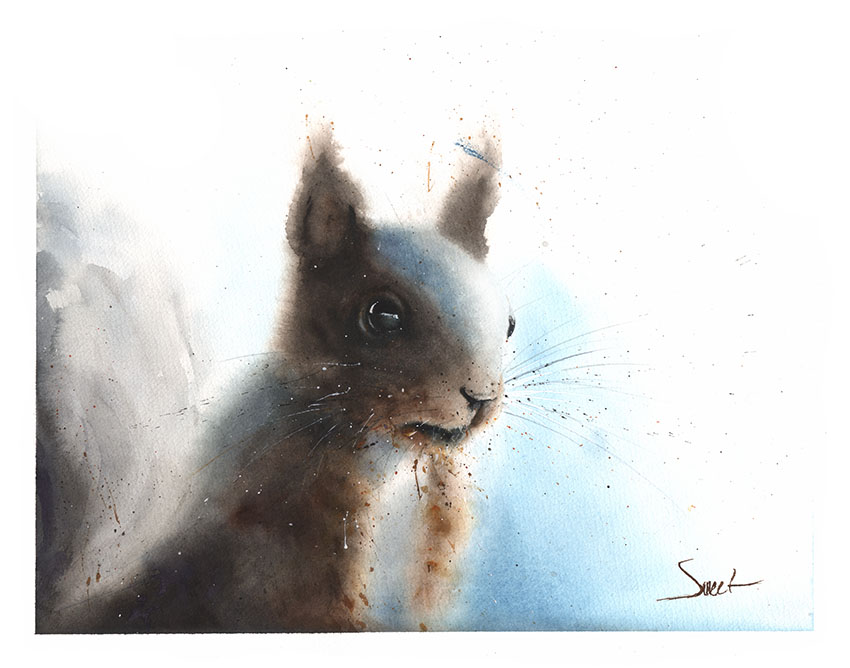 850x668 Squirrel Watercolor Print Watercolor Animal Paintings - Squirrel Painting