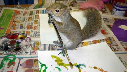 530x300 Squirrel Rescued By Artist Now Paints For Charity Mnn - Squirrel Painting