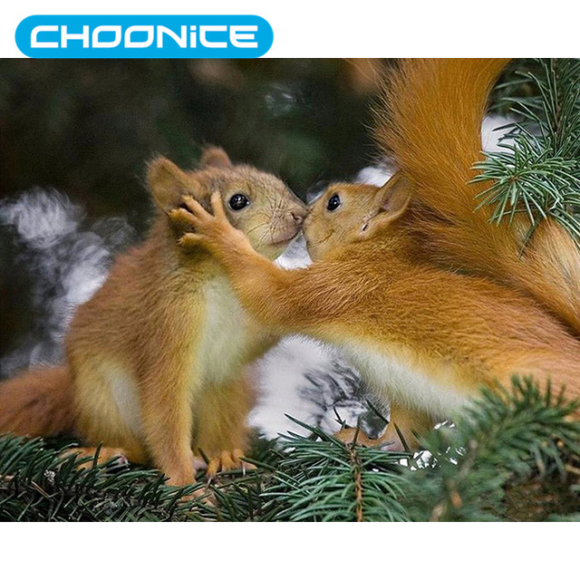 640x640 Diamond Painting Full Square Animal Kiss Diy 3d Diamond Painting - Squirrel Painting