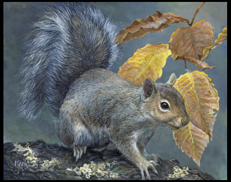 475x375 Squirrel Painting Archives - Squirrel Painting