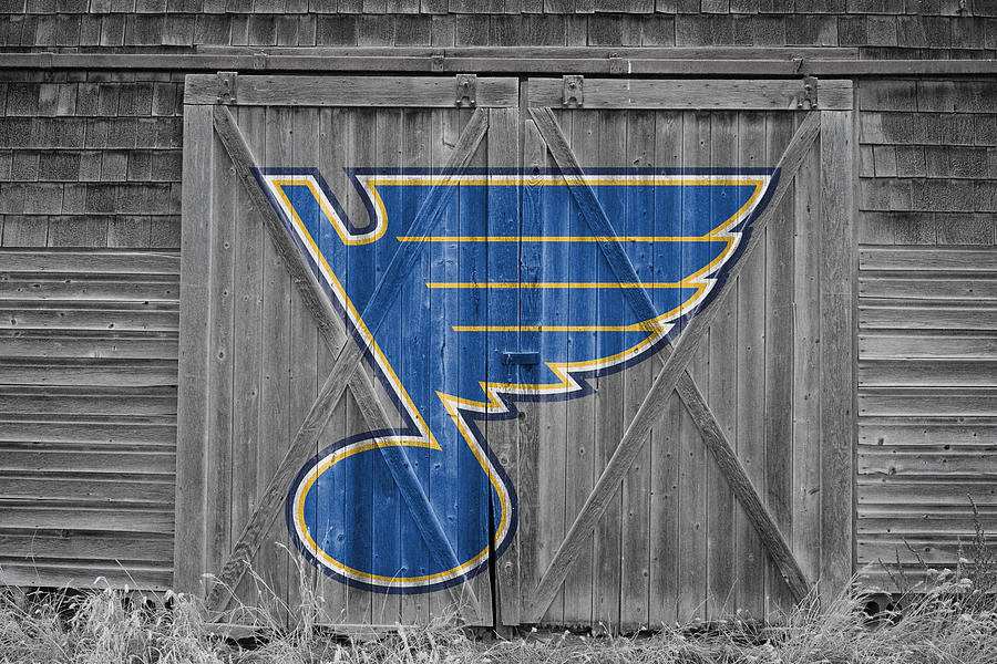 900x600 St Louis Blues Photograph By Joe Hamilton - St Louis Blues Painting