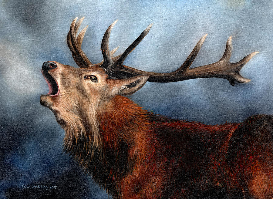 900x656 Red Deer Stag Painting By Sarah Stribbling - Stag Painting