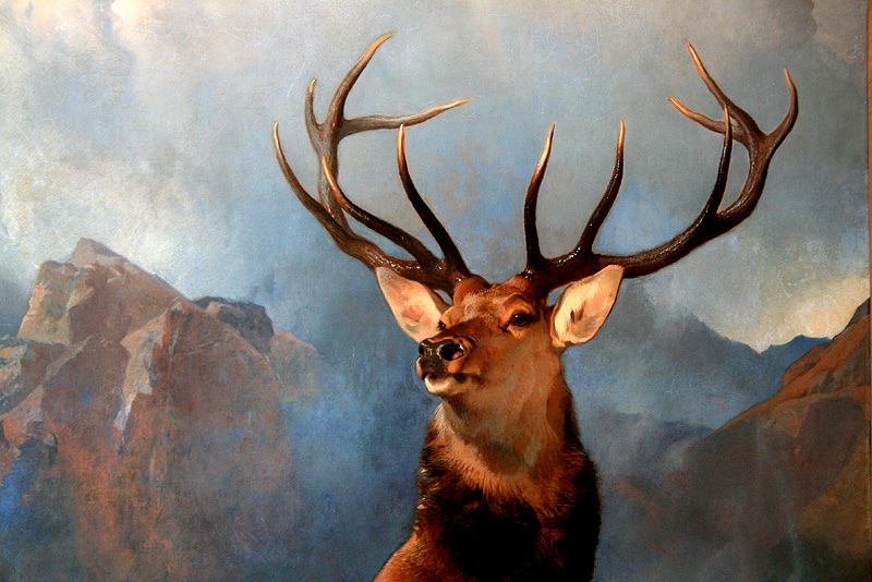 800x534 Stag Painting Cropped Image. Peter - Stag Painting