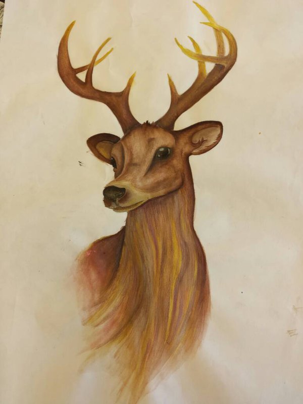 600x800 Water Colour Stag Painting By Wolfgatt96 - Stag Painting
