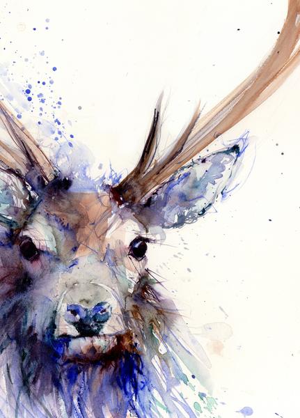 431x600 Limited Edition Print Of Original Highland Stag Painting - Stag Painting