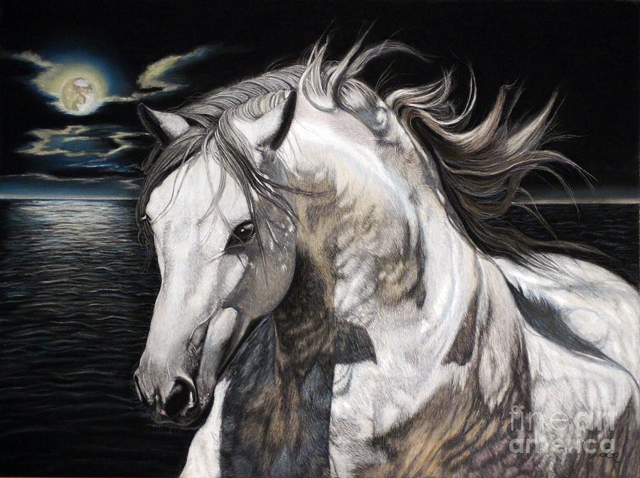 900x672 Fandango - Stallion Painting