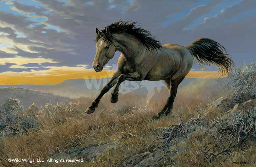 815x533 Free To Run Wild Horse Original Acrylic Painting Wild Wings - Stallion Painting
