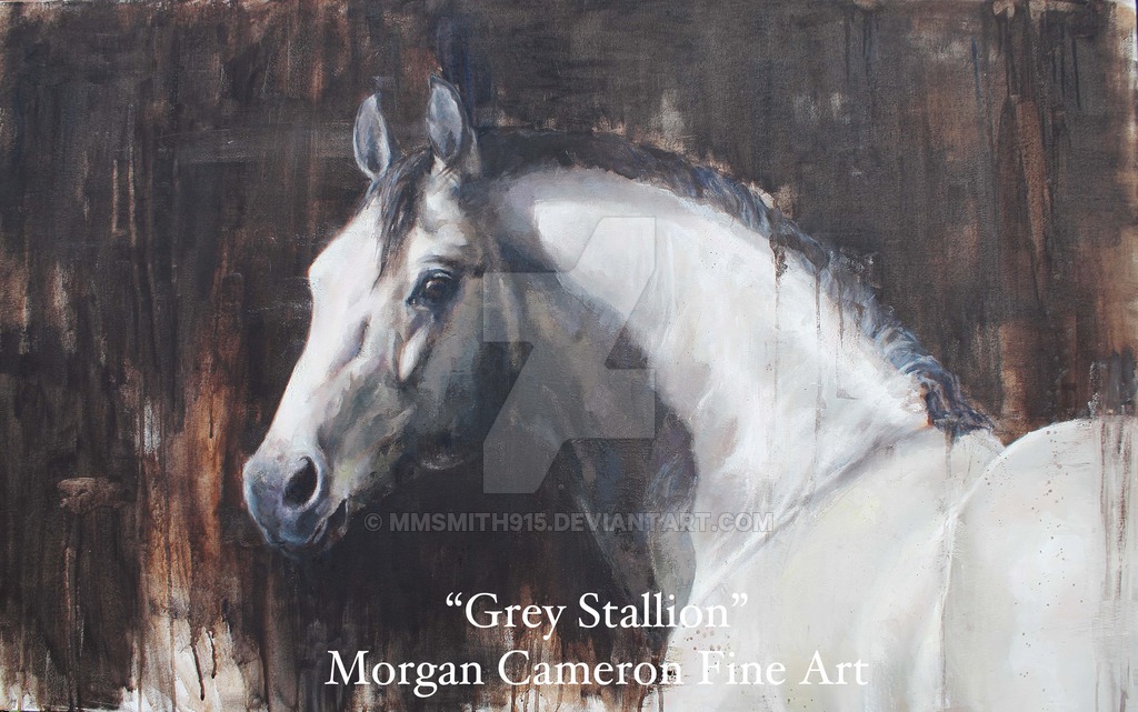 Painting greys. Нэнси Морган художник. Cameron жеребец. Кэмерон лошадь. Morgan Cameron Art.