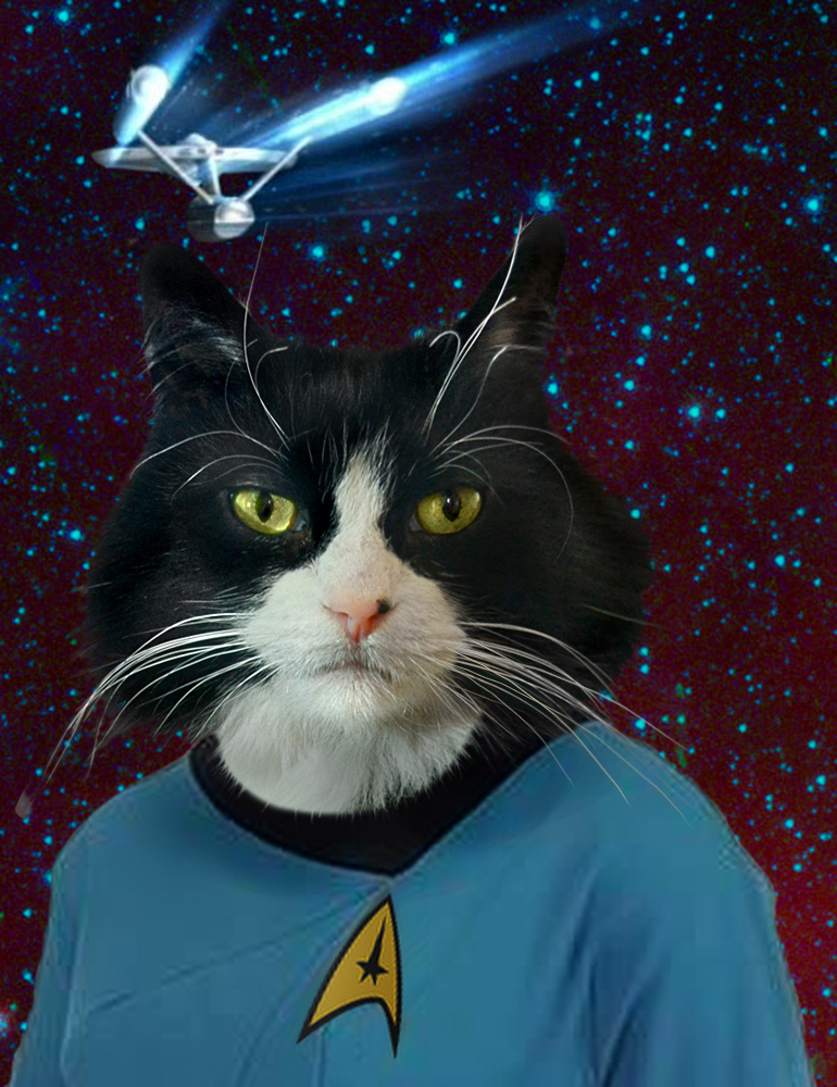 770x1000 The Trekkie Star Trek Painting Of Your Cat Or Dog - Star Trek Painting