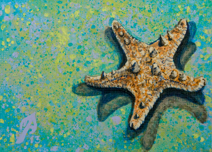 704x504 Melissa Adams Art Sea Star - Starfish Painting