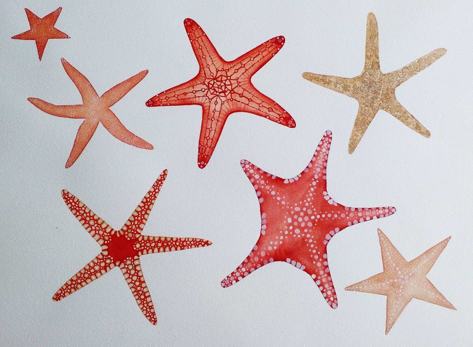 Starfish Painting at PaintingValley.com | Explore collection of ...