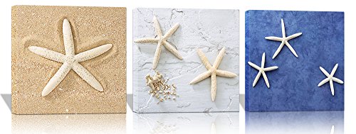 500x189 Purple Verbena Art Lovely Starfish Beach Pictures Prints - Starfish Painting Canvas