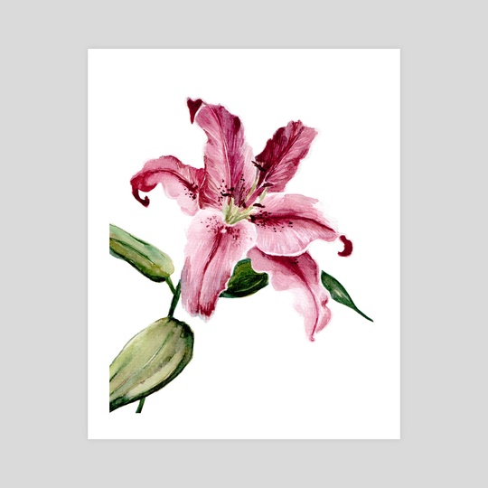 540x540 Stargazer Lily 1, An Art Print By Paulina Navarro - Stargazer Lily Painting