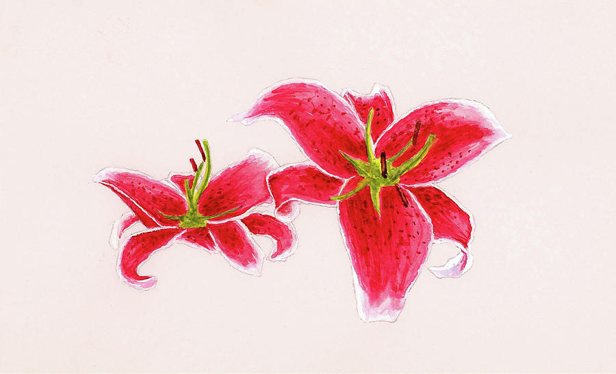 900x547 Stargazer Lily Painting By Michael Vigliotti - Stargazer Lily Painting