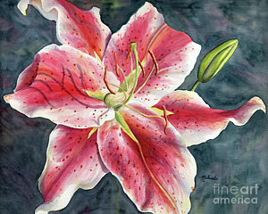 300x240 Stargazer Lily Paintings Fine Art America - Stargazer Lily Painting