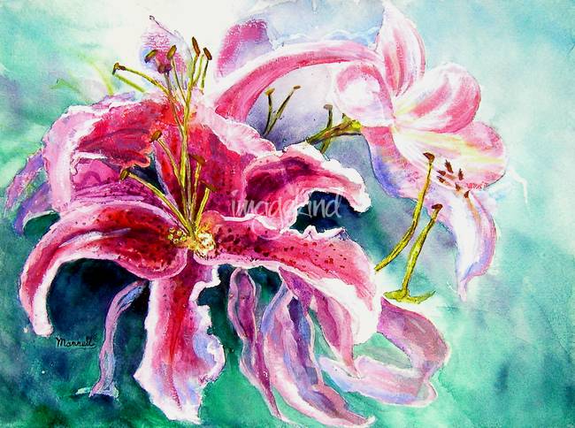 650x484 Stunning Stargazer Lily Painting Reproductions For Sale On Fine - Stargazer Lily Painting