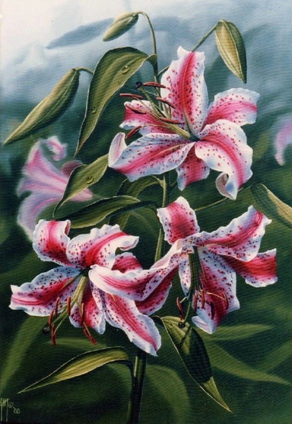 587x850 Judy Sleight Stargazer Lilies (587x850) Floral Lilies - Stargazer Lily Painting
