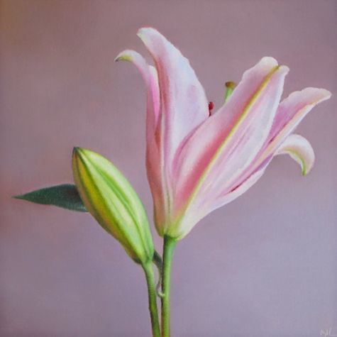 475x475 Stargazer , Painting By Artist Barbara Kacicek Art - Stargazer Painting