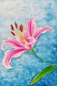 236x351 Images Stargazer Lily Portrait A Stargazer Lily Art - Stargazer Painting