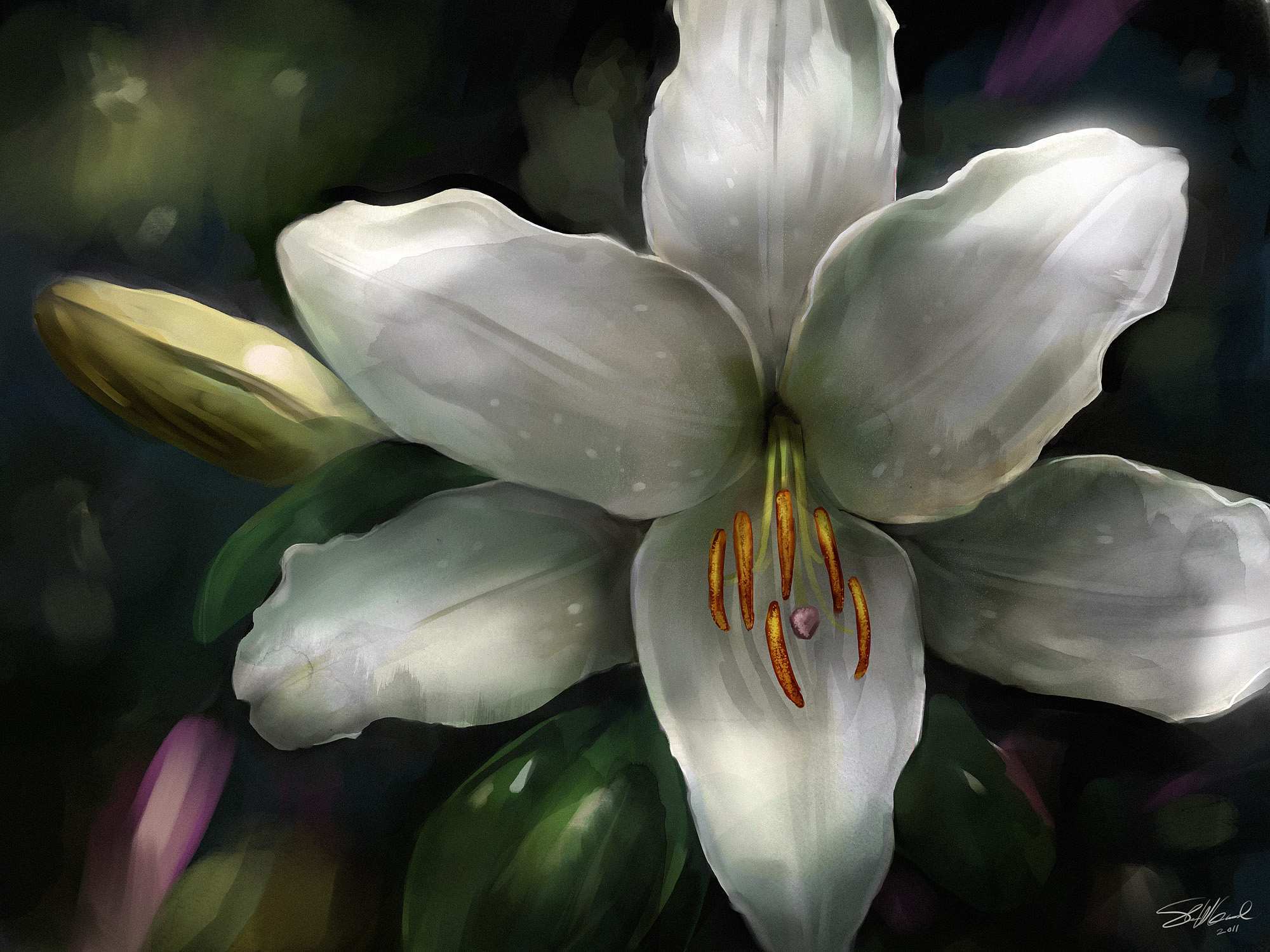2000x1500 Lily Painting Elegant Stargazer Lily Painting Marks 15 Year - Stargazer Painting