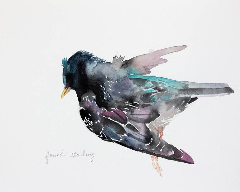 770x616 Saatchi Art Found Starling Painting By Elizabeth Becker - Starling Painting
