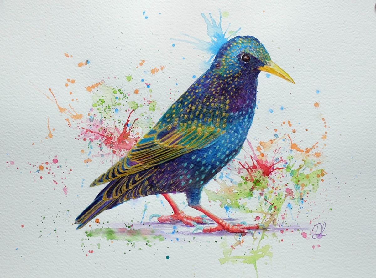 1200x889 Splashy Starling Watercolor - Starling Painting