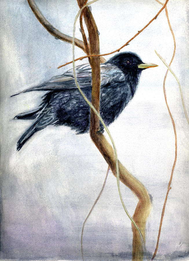 653x900 Starling Painting By Angela Courtney - Starling Painting