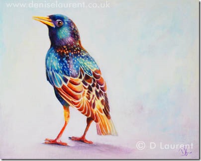 404x324 Wildlife Paintings Denise Laurent Fine Art Page 5 - Starling Painting