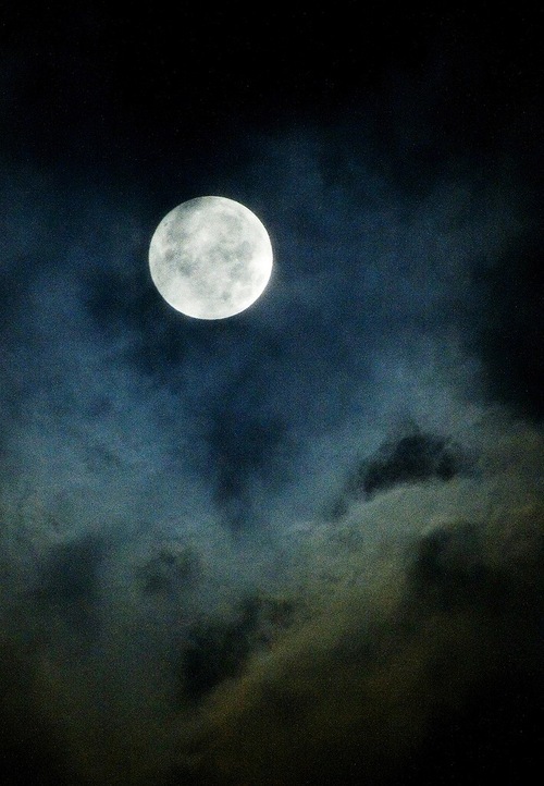 500x722 Your Eyes Are Like A Little Moon - Stars And Moon Painting