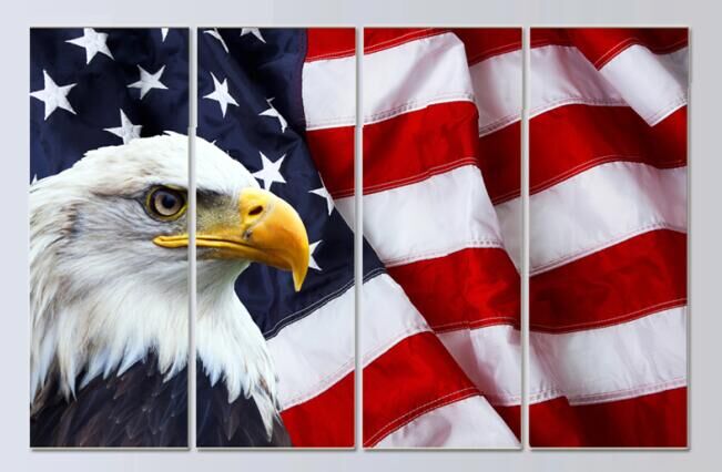 651x426 Creative Stars And Stripes Usa Flag Pattern With Eagle Wall - Stars And Stripes Painting
