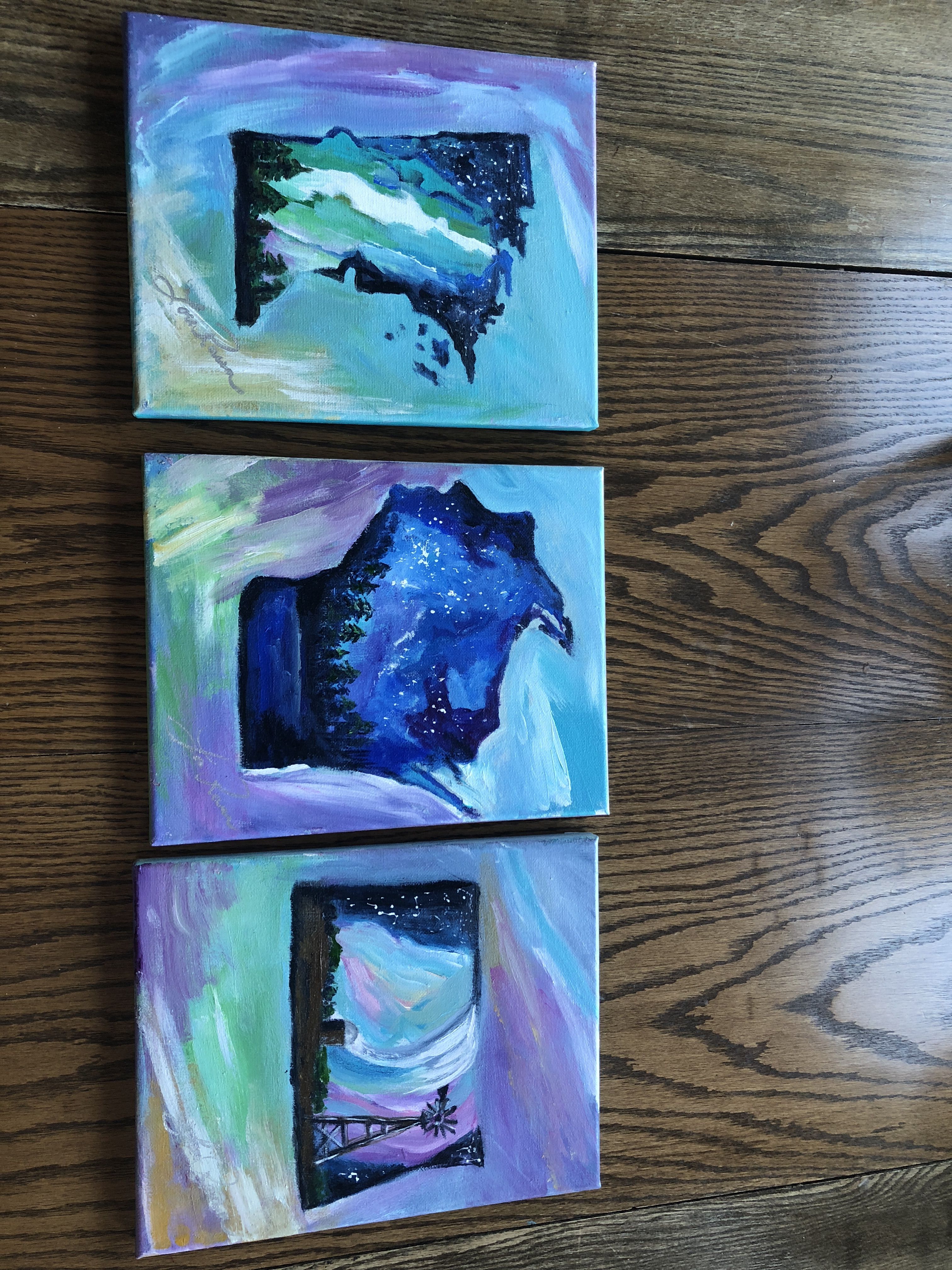 3024x4032 Home State Signs @ Night - State Painting