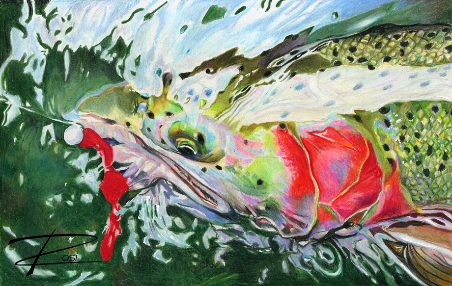 Steelhead Painting at PaintingValley.com | Explore collection of ...